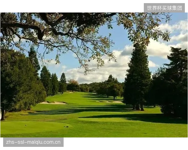 前斯坦福大学明星球员迈克尔·索尔比约恩森在殖民地乡村俱乐部取得突破，展现了冲击冠军的潜力。
